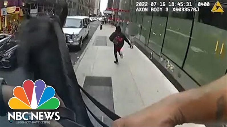 Watch: Suspect On Foot Tries To Evade New York Police Officer On Horseback