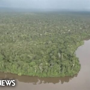 4 children found alive 40 days after plane crashed in Amazon jungle