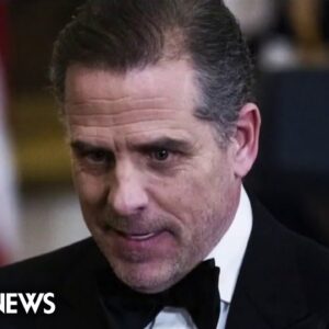 W.H. does not plan to address IRS whistleblower allegations against Hunter Biden