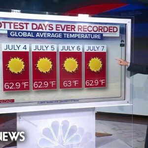 Summer heat wave sends temperatures and economic costs soaring