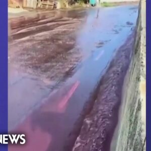 Portuguese distillery spills over 500,000 gallons of wine onto streets