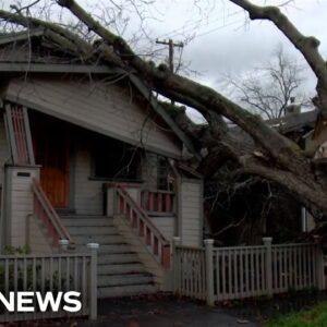 California storm brings down trees across Sacramento