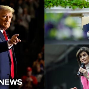 Polls: Trump leads both Haley and Biden in key states