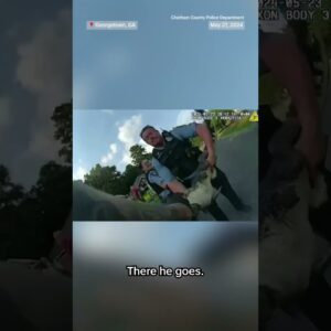 Cops wrangle alligator in Georgia neighborhood