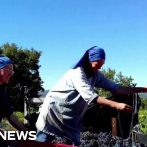 Catholic nuns run vineyard in France