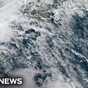 Tropical storm Alberto forms in Gulf of Mexico