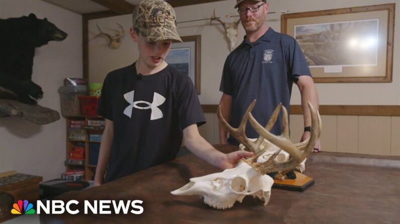 Boy saves father from bear attack: 'All I saw was teeth and claws'